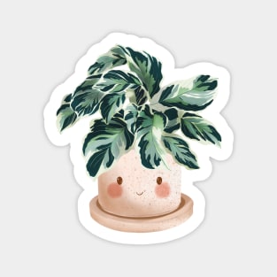 Cute Plant Illustration, Calathea Lietzei Fusion White Sticker